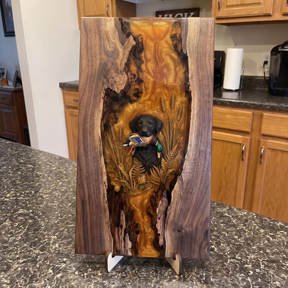 Adsilas Boards